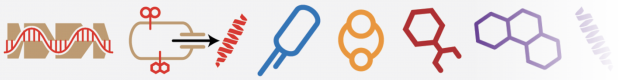 hmbr_logo-e1530132980532