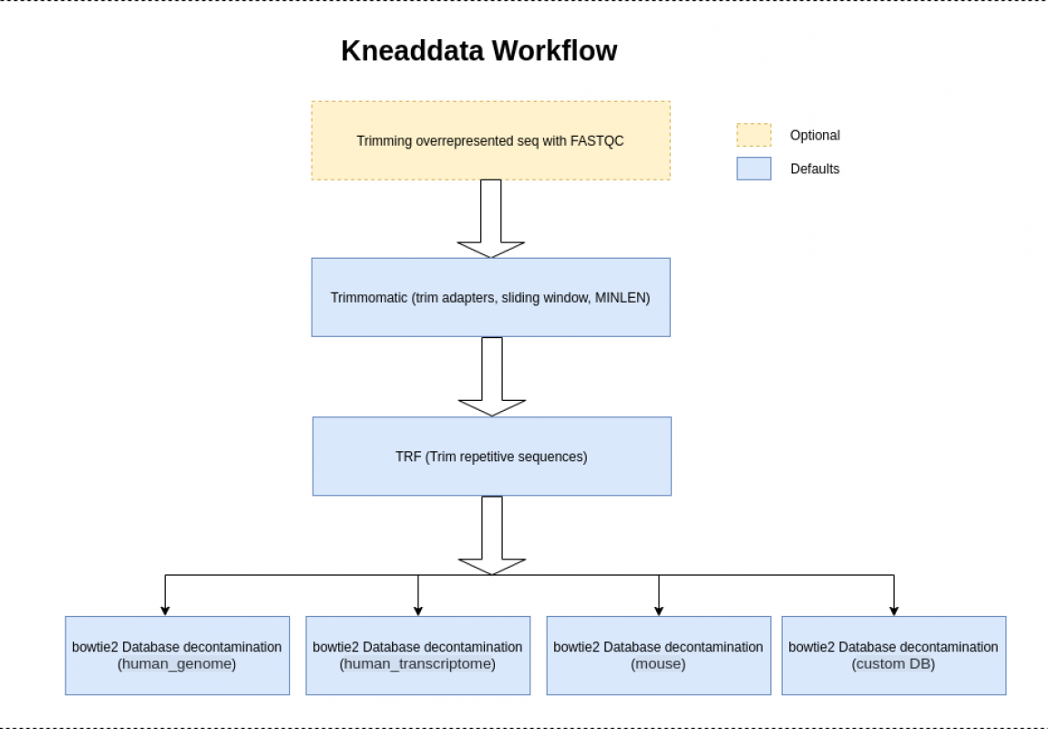 kneaddata_workflow.drawio